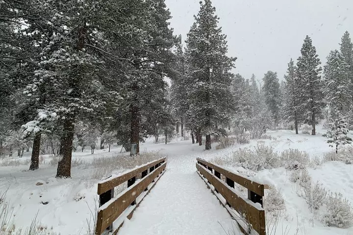 Mount Charleston Tour from Las Vegas