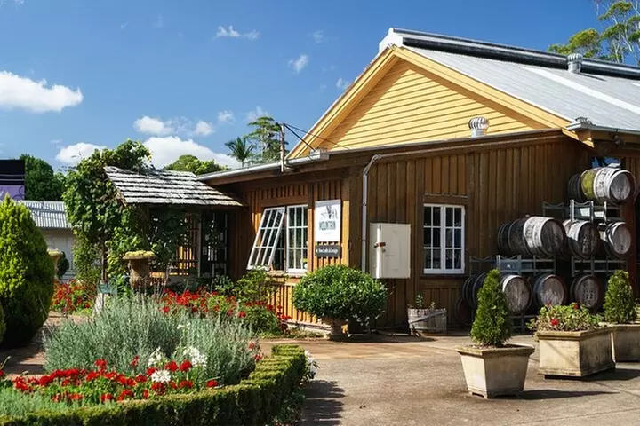 Mt Tamborine And Glow Worm Day Tour - Primary Image