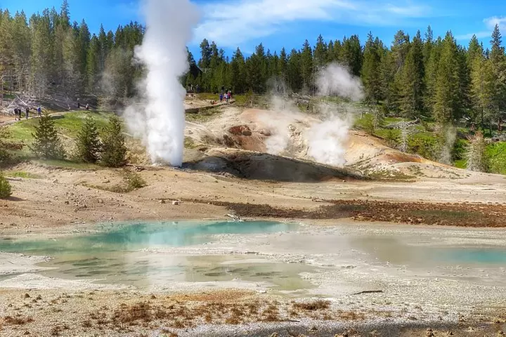 North Yellowstone Day Tour (Lamar Valley) Private Day Tour - Primary Image