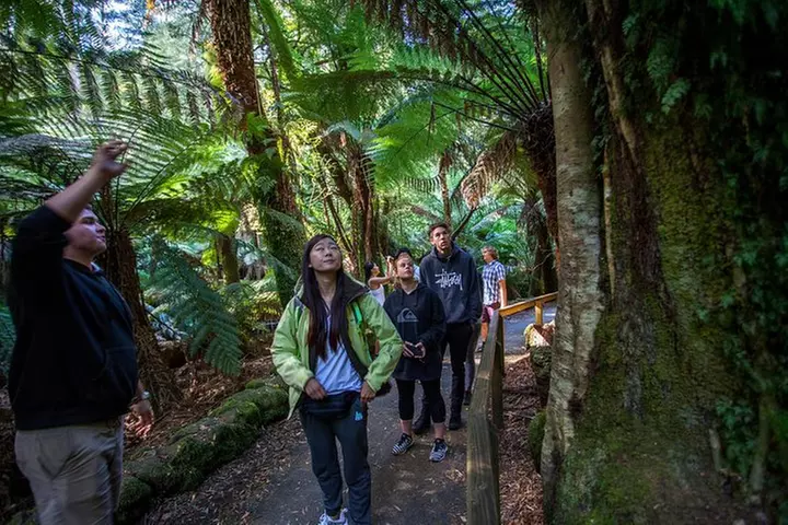 Hobart: Mt. Field, Mt Wellington & Wildlife - Active Day Tour