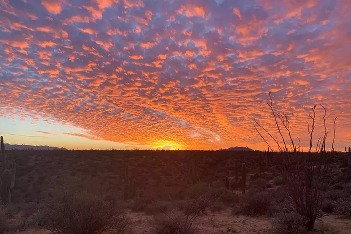 Sonoran Desert Jeep Tour at Sunset