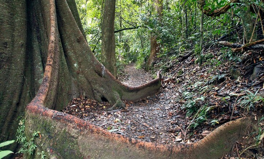 Image 15: Gold Coast Day Tour From Brisbane