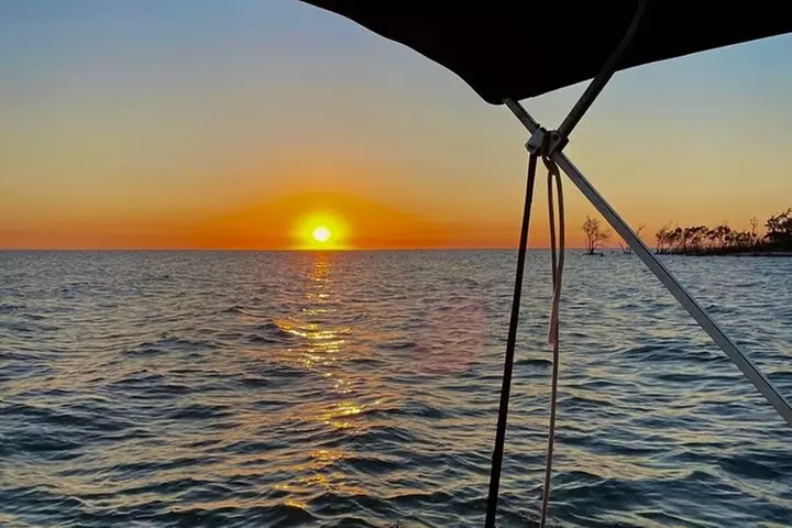 Manatee, Dolphin and 10,000 Islands Sunset Cruise!