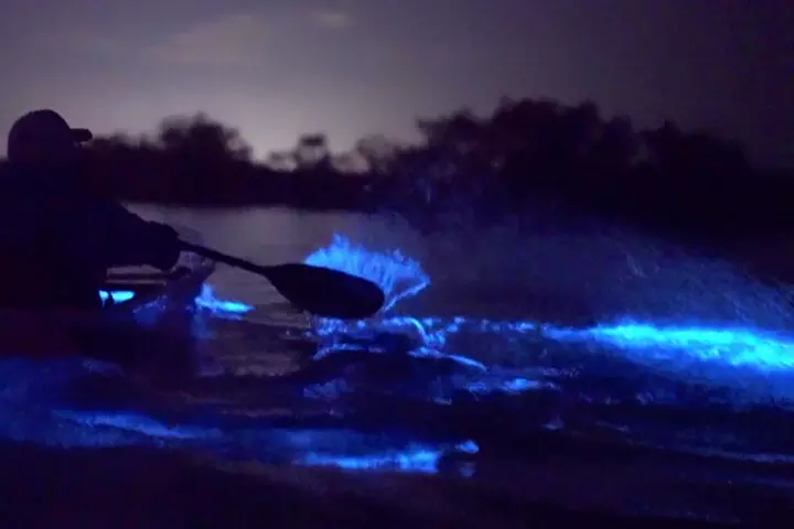 Florida Bioluminescence Clear Kayak tour/ Beacon 42 (Titusville)