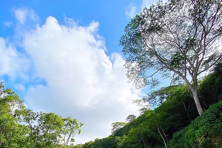 Kauai Adventure: Kayak & Hike to Secret Falls with Expert Guide