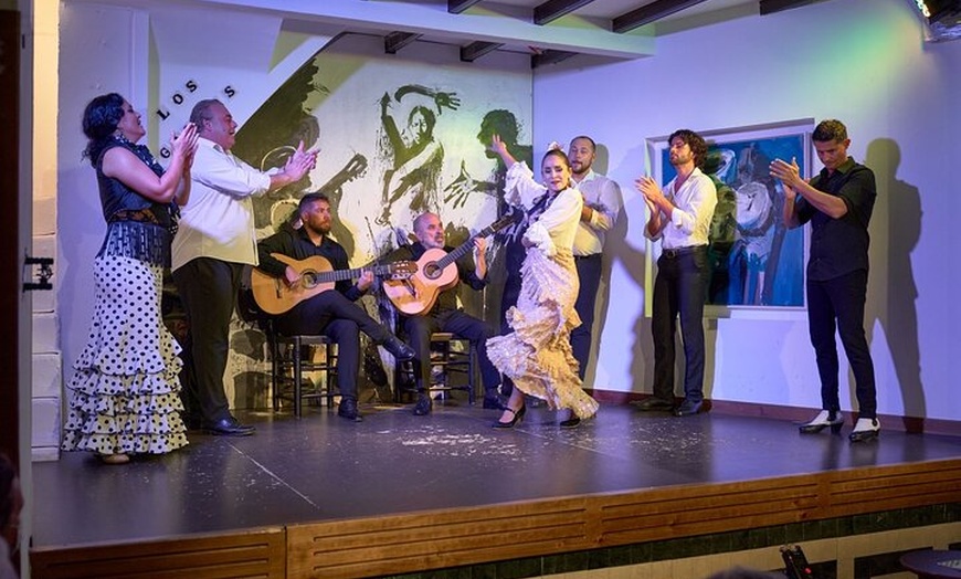 Image 7: Entrada para el espectáculo de flamenco en Los Gallos