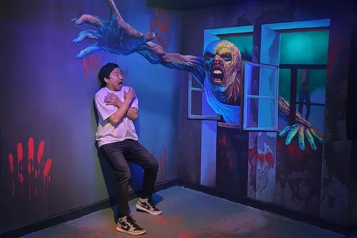 Niagara Falls Trick Art Box Museum Admission - Primary Image