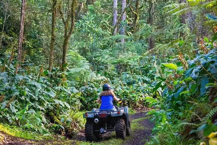 Polynesian Cultural ATV Tour