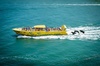 Sea Screamer Clearwater's Only Speed Boat Dolphin Watching
