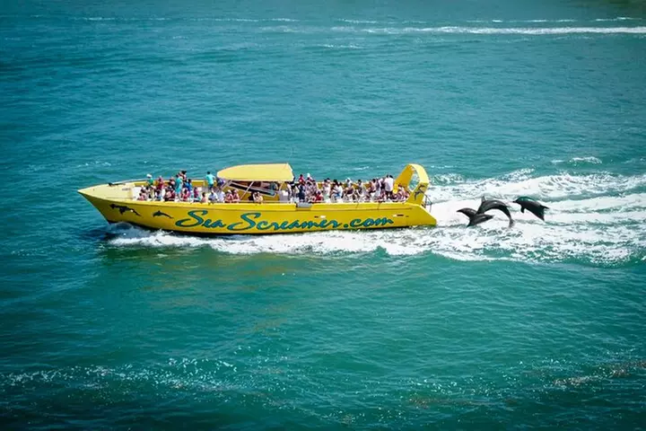 Sea Screamer Clearwater's Only Speed Boat Dolphin Watching - Primary Image