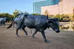 Dallas Scavenger Hunt Walking Tour and Game - Second Medium