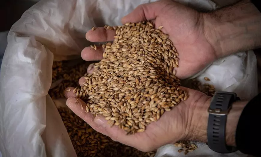 Image 3: Cata de Cervezas Artesanales con Visita Guiada a la Fábrica