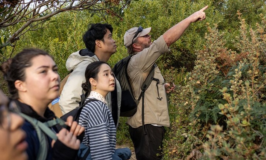 Image 7: Bruny Island Nature and Tasting Active Day Tour