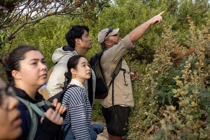 Hobart: Bruny Island Adventure: Hiking, Highlights & Local tastes