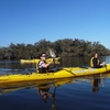 Image 1: Kayak Tour on the Canning River