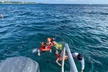 Catamaran Unlimited To Isla Mujeres with lunch and open bar - Second Medium