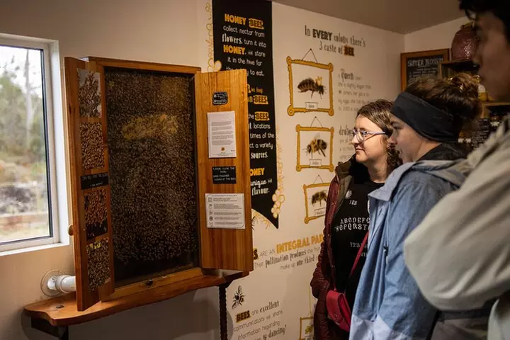 Hobart: Bruny Island Adventure: Hiking, Highlights & Local tastes