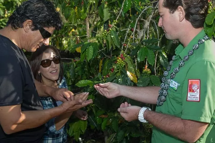 Big Island in a Day: Volcanoes Waterfalls Sightseeing and History