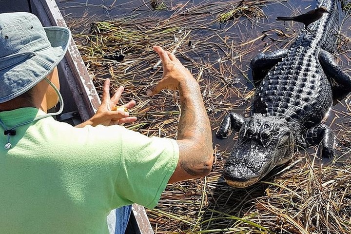 Half-day Everglades National Park Tour and 1-Hour Air Boat Ride - Primary Image