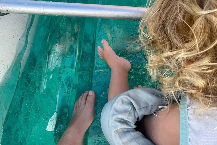 Clear Bottom Glassy Kayak Rental | MAUI | Safe and Stable Kayaks