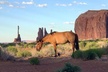 Monument Valley Group Tour - 3 Hours - Navajo Spirit Tours - Second Medium