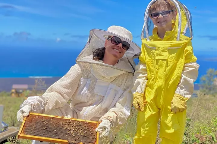 Honey Bee Adventure at the Maui Honey Bee Sanctuary