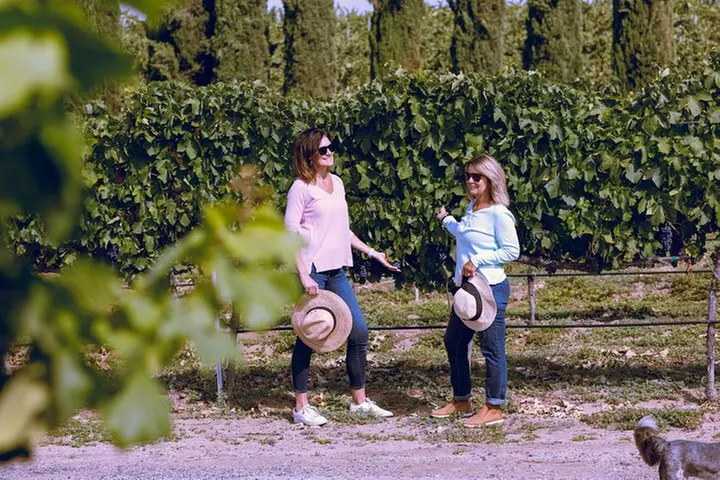 PRIVATE Luxury Transportation Experience - Napa