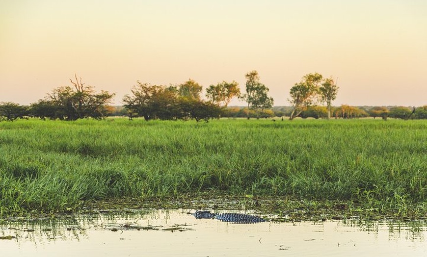 Image 5: Yellow Water Cruise - Kakadu