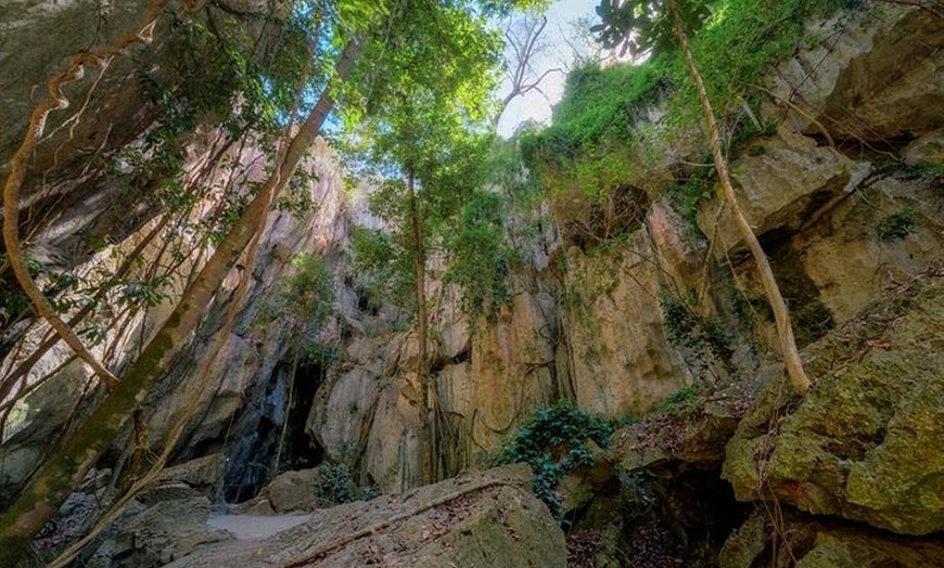 Image 2: Capricorn Caves Cathedral Cave Tour