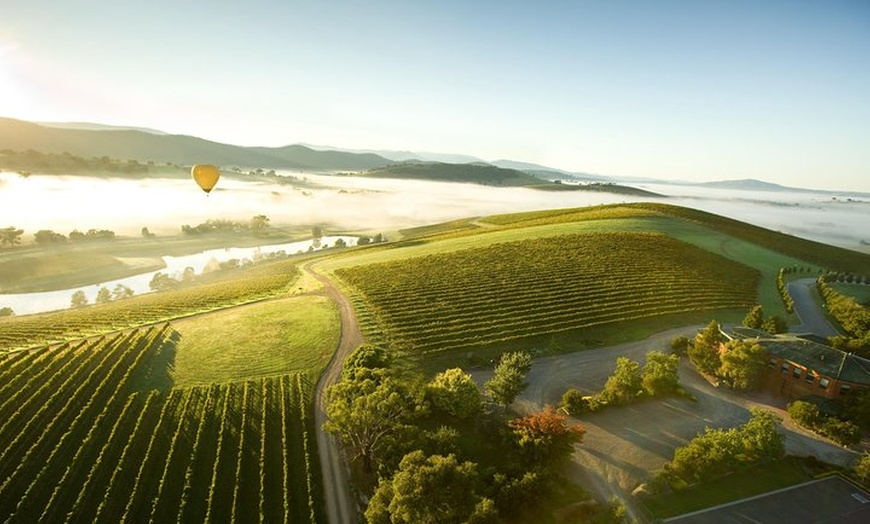 Image 2: Yarra Valley Wine Day Tour