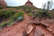 Private 6 or 8 Hr "Awaken to You": Journey & Sedona Vortex Tour (Specify 6/8 hr) - Second Medium