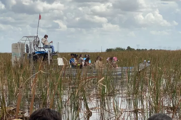 Everglades Tour from Miami 4 hours with 60min Airboat ride & free Group Photo - Primary Image