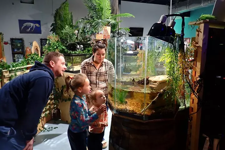 3 Hour Manatee Swim - Small Group w/complimentary photos!