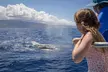 Afternoon Whale Watching Tour in Maui with Dinner - Image 4