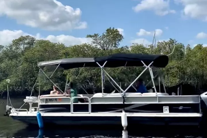 Manatee, Dolphin and 10,000 Islands Sunset Cruise!