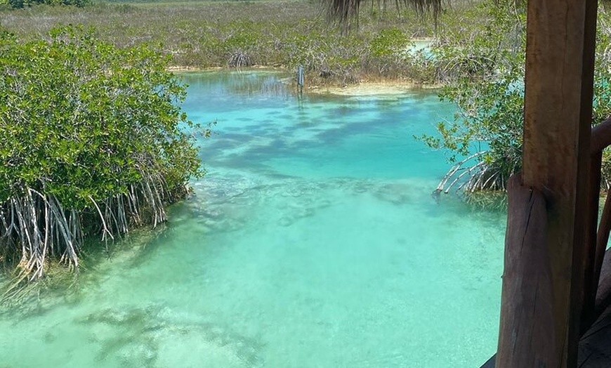 Image 11: Rapids EN Bacalar Tour from Cancun and Riviera Maya