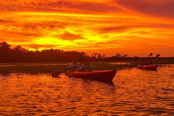 2-Hour Hilton Head Guided Kayak Nature Tour