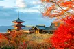 ✈ JAPAN | Von Osaka nach Tokio - Rundreise Kyoto - Hakone - Tokio 4*, 9 Nächte - Rundreise - Image 7