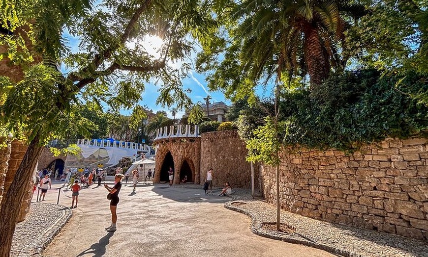 Image 18: Tour por la tarde del Park Güell