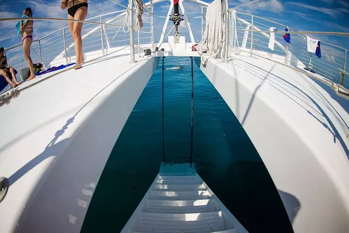 Key West Reef Morning Snorkeling with Breakfast and Mimosas