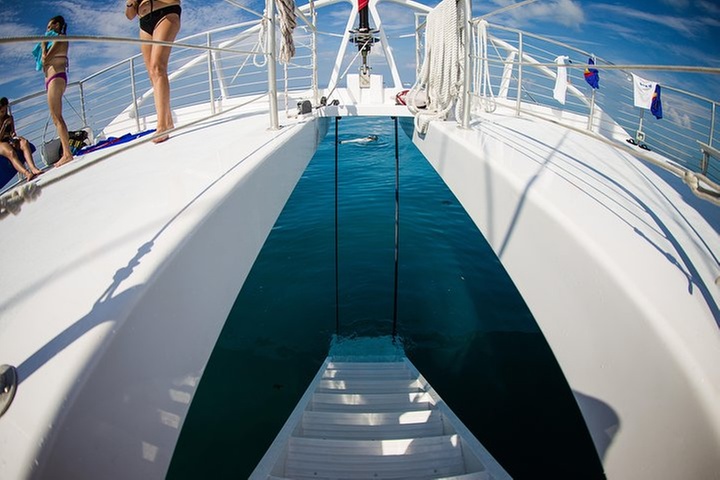 Key West Snorkeling with Breakfast and Unlimited Mimosas