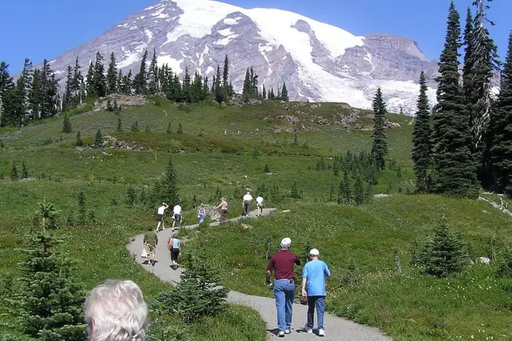 Mt. Rainier Day Tour from Seattle