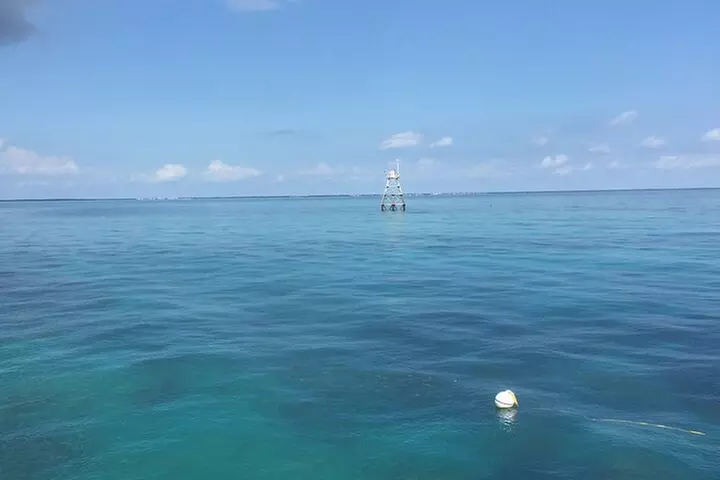 Key Largo Coral Reef Glass Bottom Boat Adventure