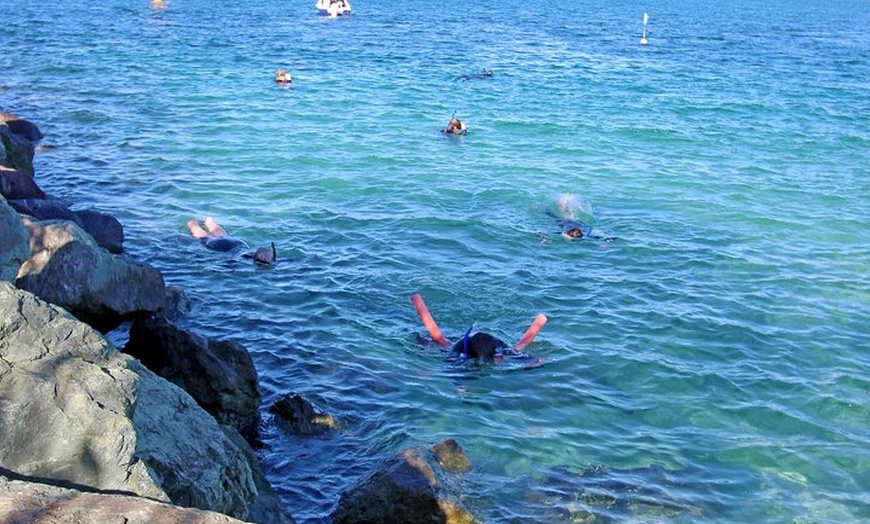 Image 2: Wave Break Island Snorkel Tour on the Gold Coast