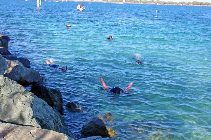 Wave Break Island Scuba Diving on the Gold Coast