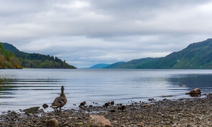 Image 3: Loch Ness Cruise, Outlander & Urquhart Castle Tour from Inverness