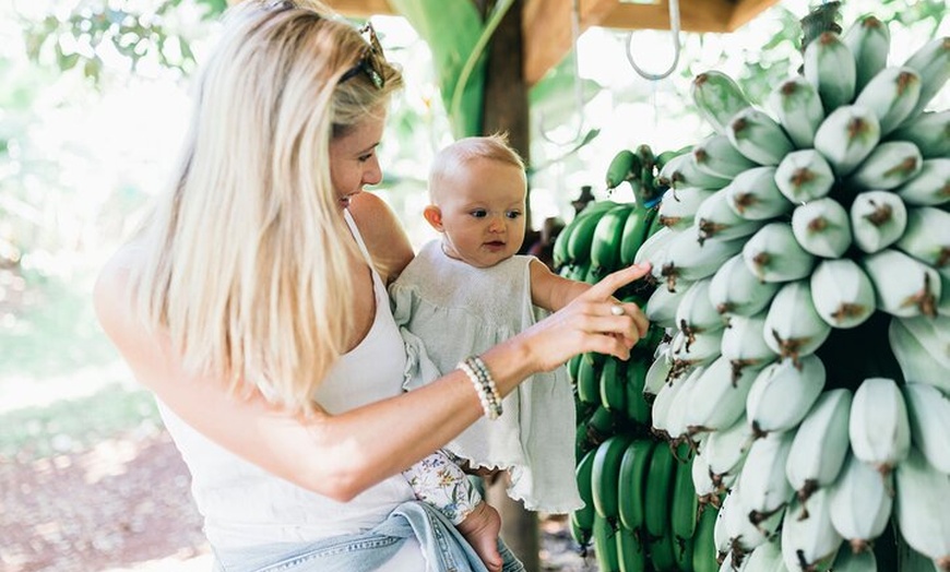 Image 3: Tropical Fruit World Farm Full Tour