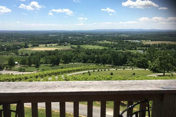 Private Loudoun County Wine Tour from DC with Stops at 3 Wineries