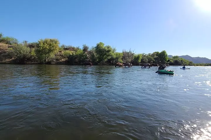 Rent a Paddle Board And Float the Lower Salt River - Second Medium