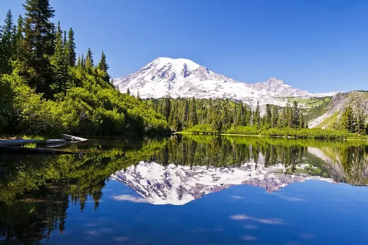 Ultimate Mount Rainier National Park Self-Guided Driving Tour